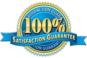 100 Satisfaction Guarantee logo