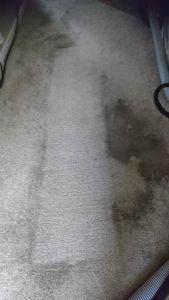 Carpet cleaning near me 