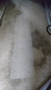 Carpet cleaning near me