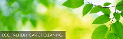 Green/Eco carpet Cleaning Bristol