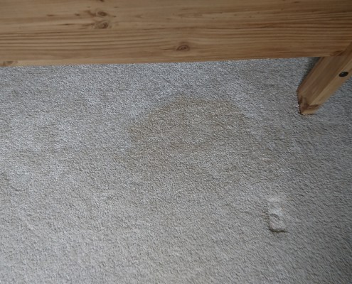 Stain carpet cleaning