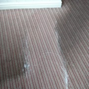 Steam carpet cleaning Bristol 