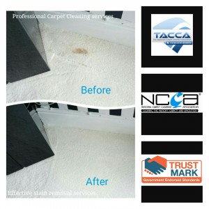 Stain removal services Bristol