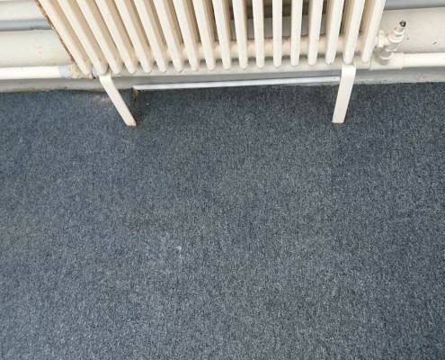 carpet cleaning frenchay bristol