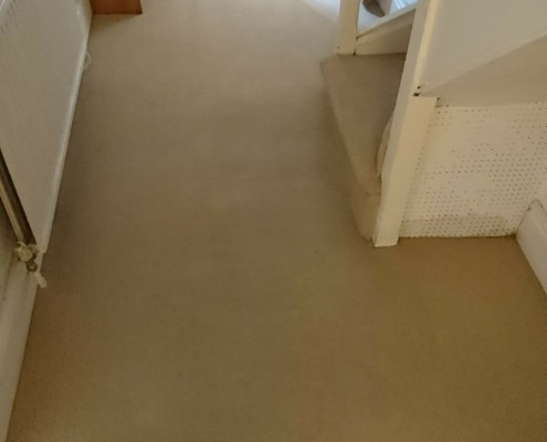 Carpet cleaning bath 