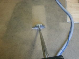 Carpet Cleaning Bristol