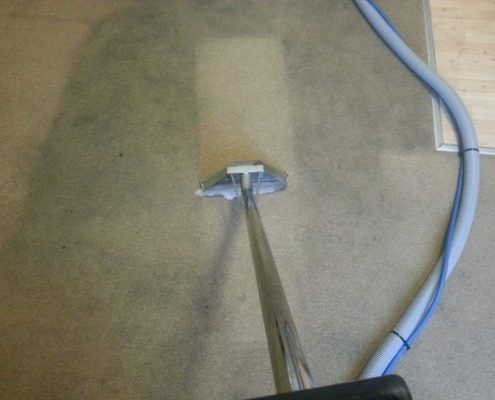 Steam Carpet Cleaning for best results  