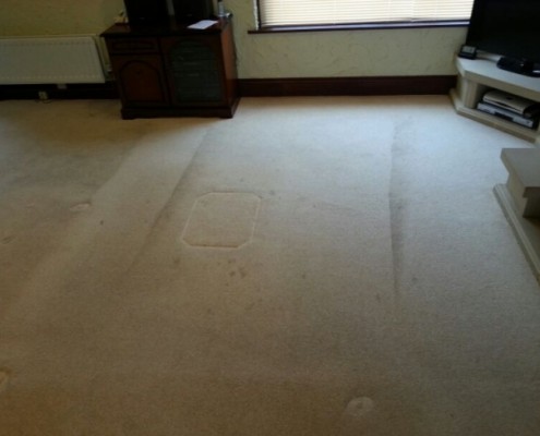 carpet cleaning near me 