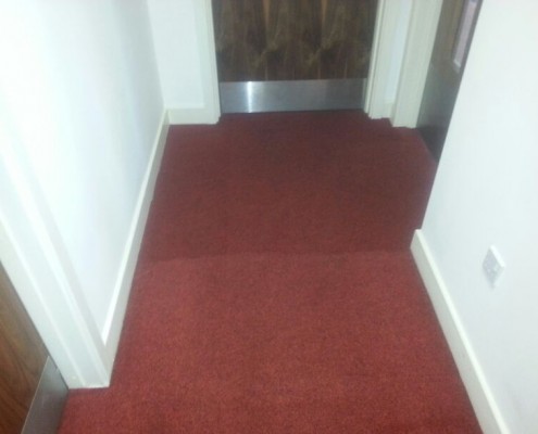 Achieving, quick  highest quality carpet cleaning results, in house cleaners can only dream of achieving 