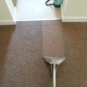 carpet cleaning bristol