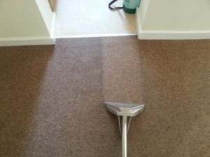carpet cleaning bristol