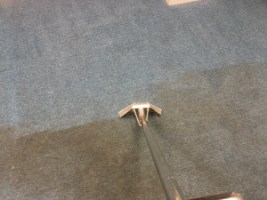 steam cleaning bristol commercial carpet cleaning
