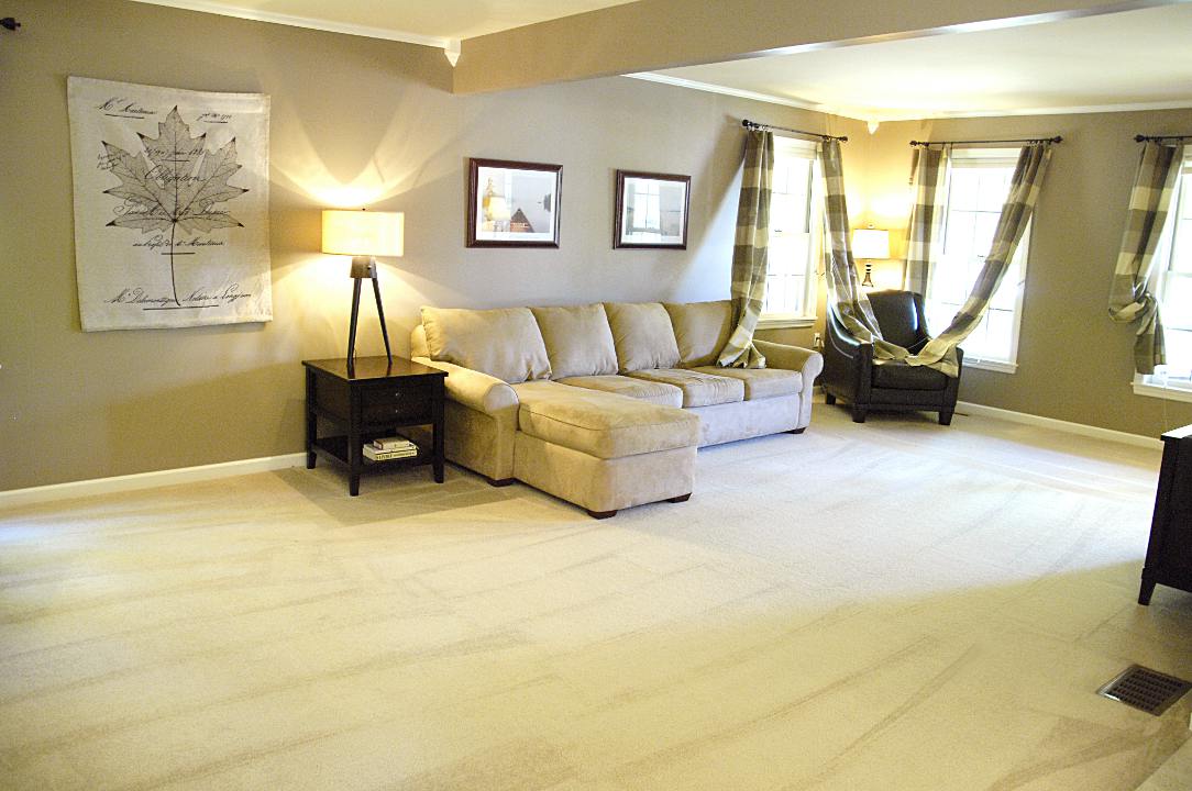 wHOLE HOUSE CARPET CLEANING DISCOUNTS BRISTOL