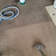 carpet cleaning in kingswood bristol