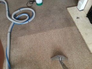 carpet cleaning in Kingswood bristol