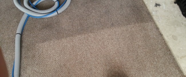 carpet cleaning in kingswood bristol