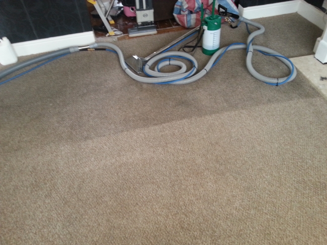 Kingswood carpet cleaning