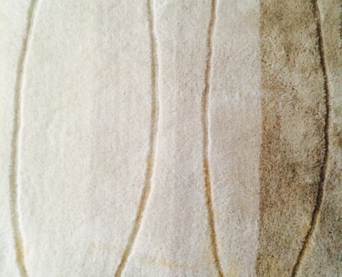 tea removal carpet cleaning 