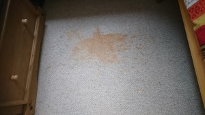 carpet stain removals bristol and bath