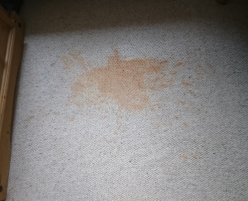 carpet stain removals bristol and bath