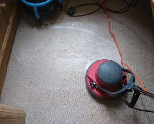 carpet stain removal bath 