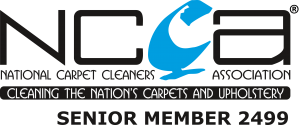 Carpet cleaning in clifton bristol