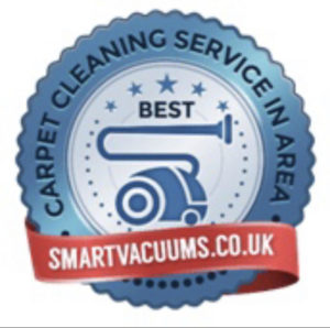 best carpet cleaning service 