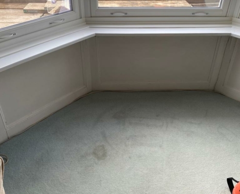 stain removal carpet cleaning bristol